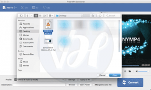 3 Best Ways to Convert FLV to MP4 | Windows, MAC, Online