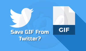 How to Save GIF from Twitter | Android, iPhone, Windows
