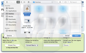 3 Best Ways to Convert FLV to MP4 | Windows, MAC, Online