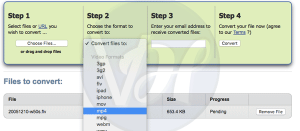 3 Best Ways to Convert FLV to MP4 | Windows, MAC, Online