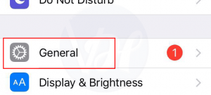 How to Reset Network Settings in iPhone