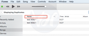 select name How to Delete Duplicates in iTunes | 2 Methods