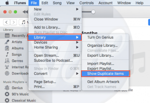 How to Delete Duplicates in iTunes | 2 Methods