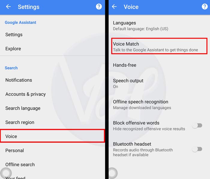 Voice and voice match